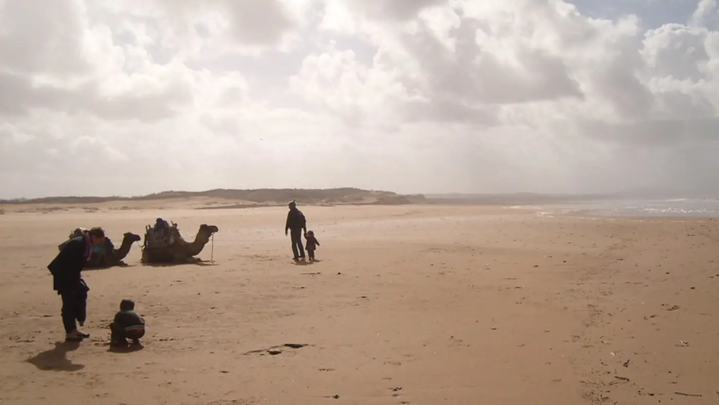 10 napos Tengerparti Nyugalom, Magas-Atlasz & Szahara Expedíció — Coastal Beach Camels