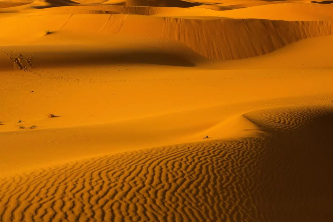3 Napos Sivatagi Túra Marrákesből Merzougába