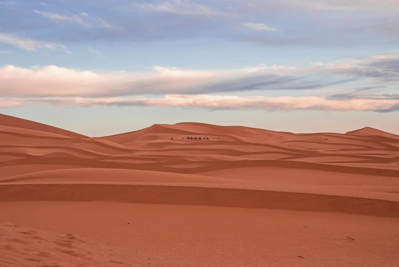 5 Napos Sivatagi Út Fészből Merzougába